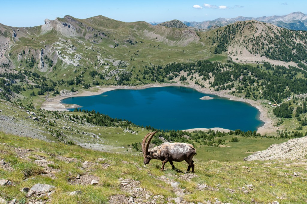 Parc National du Mercantour