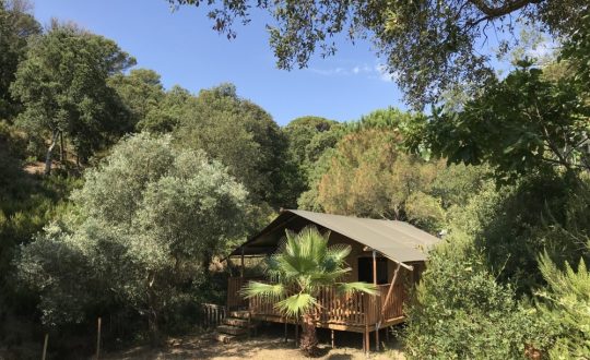 Camping Les Lauriers Roses - CotedAzur.nl